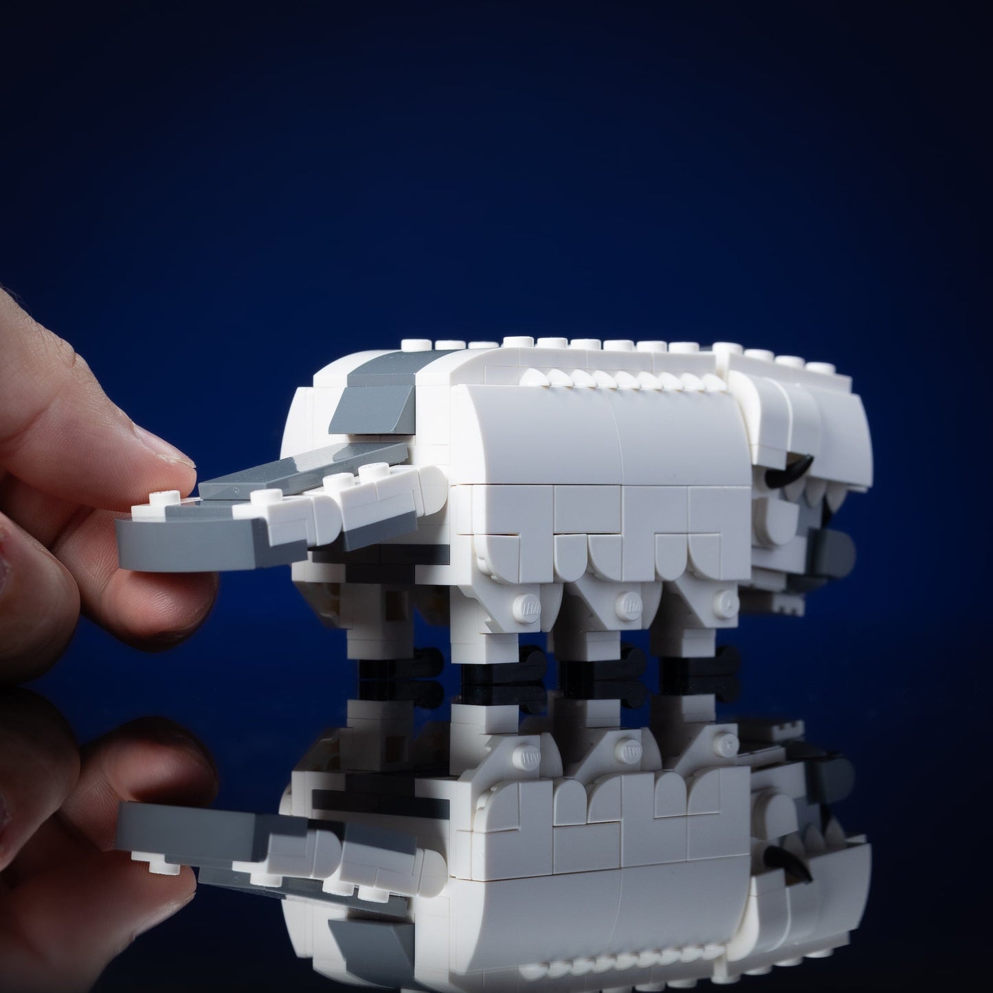 Mini Appa
