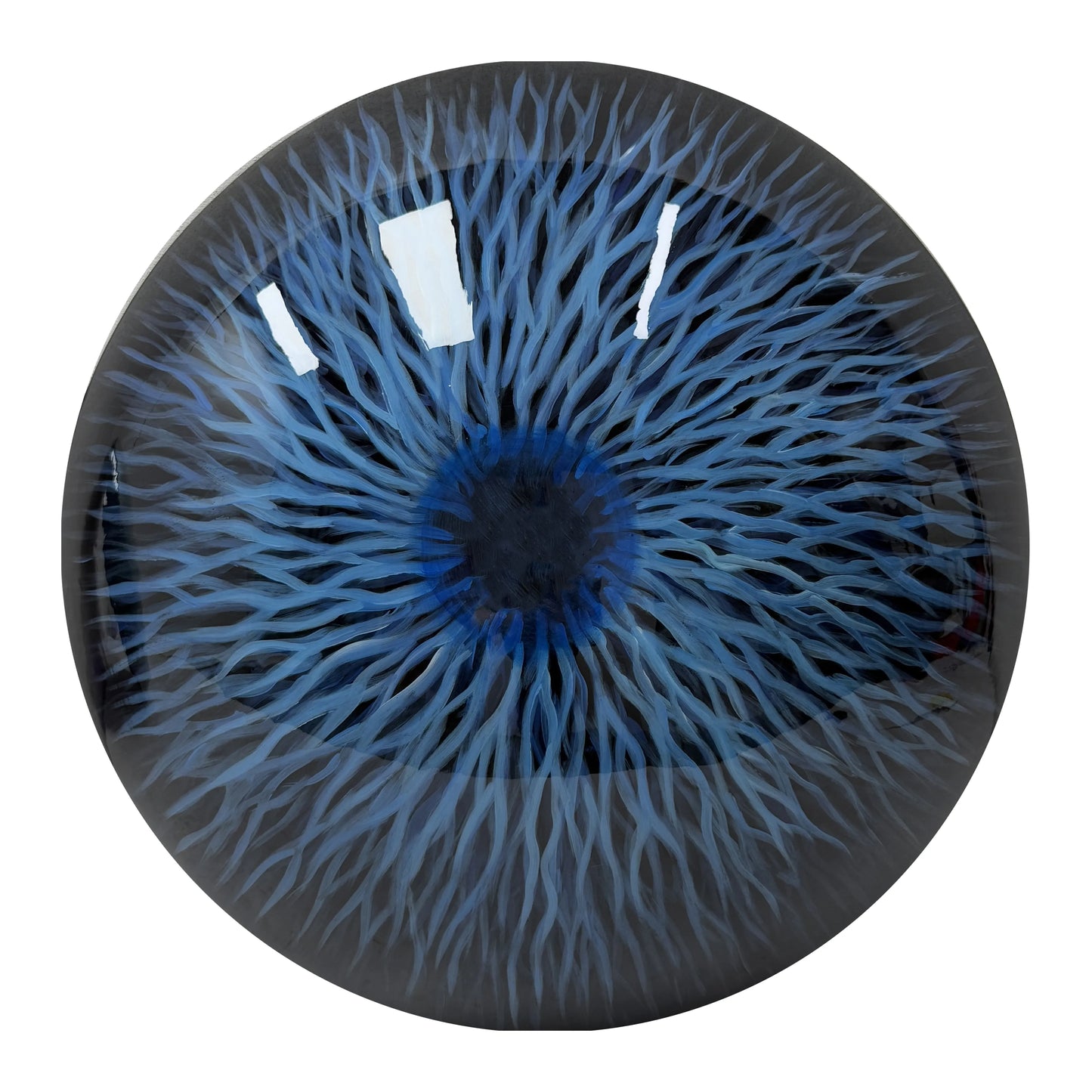 Nova Bloom