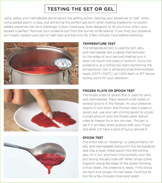 The All New Ball Book Of Canning And Preserving (Spiral Bound)