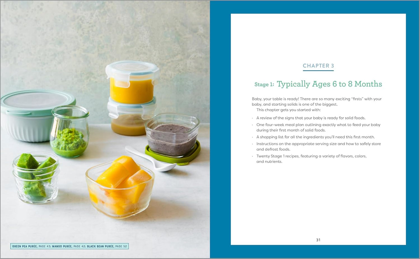Make-Ahead Baby Food Cookbook: Meal Plans and Recipes for Every Stage (Spiral Bound)