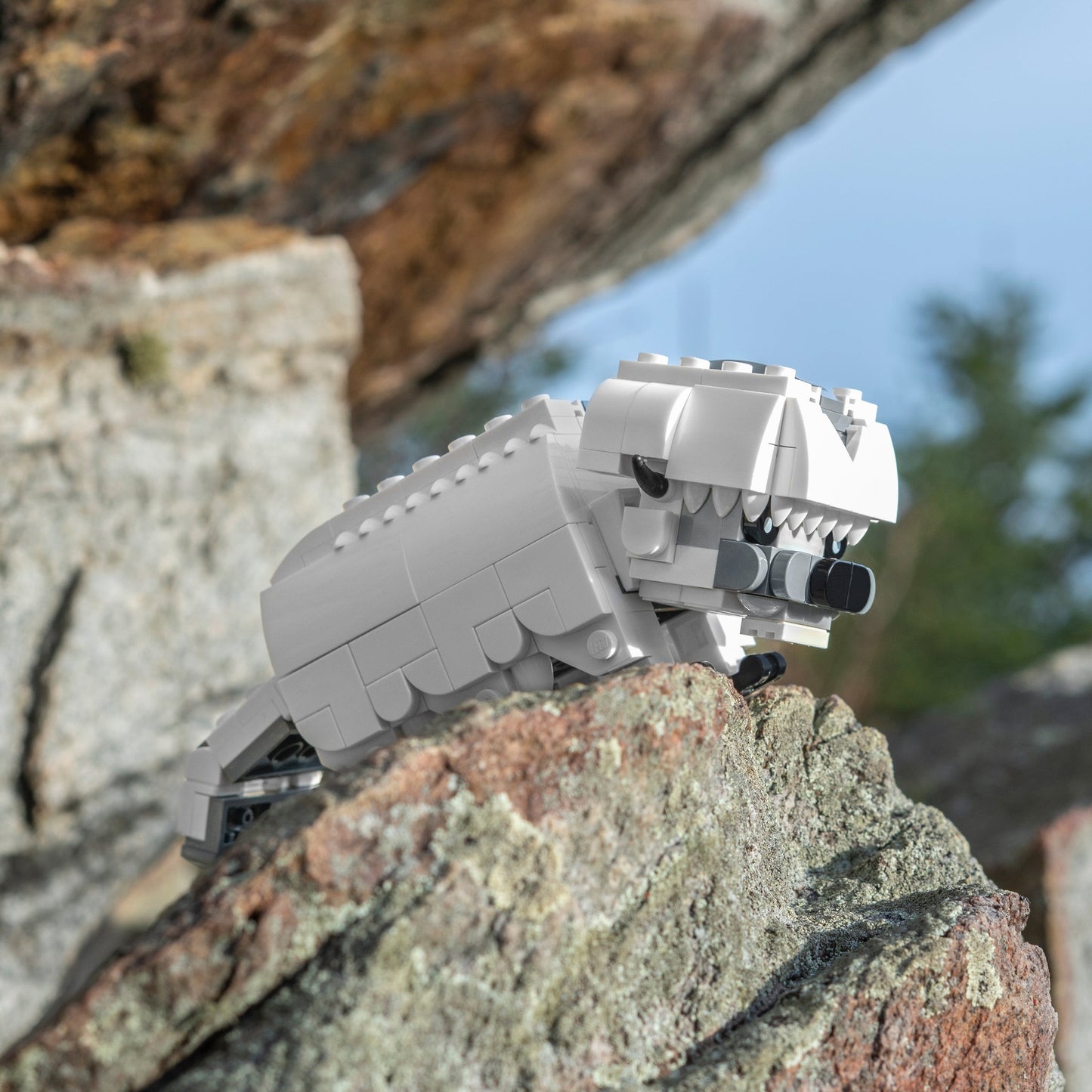 Mini Appa